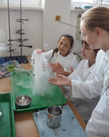 P1010020 (Small).JPG